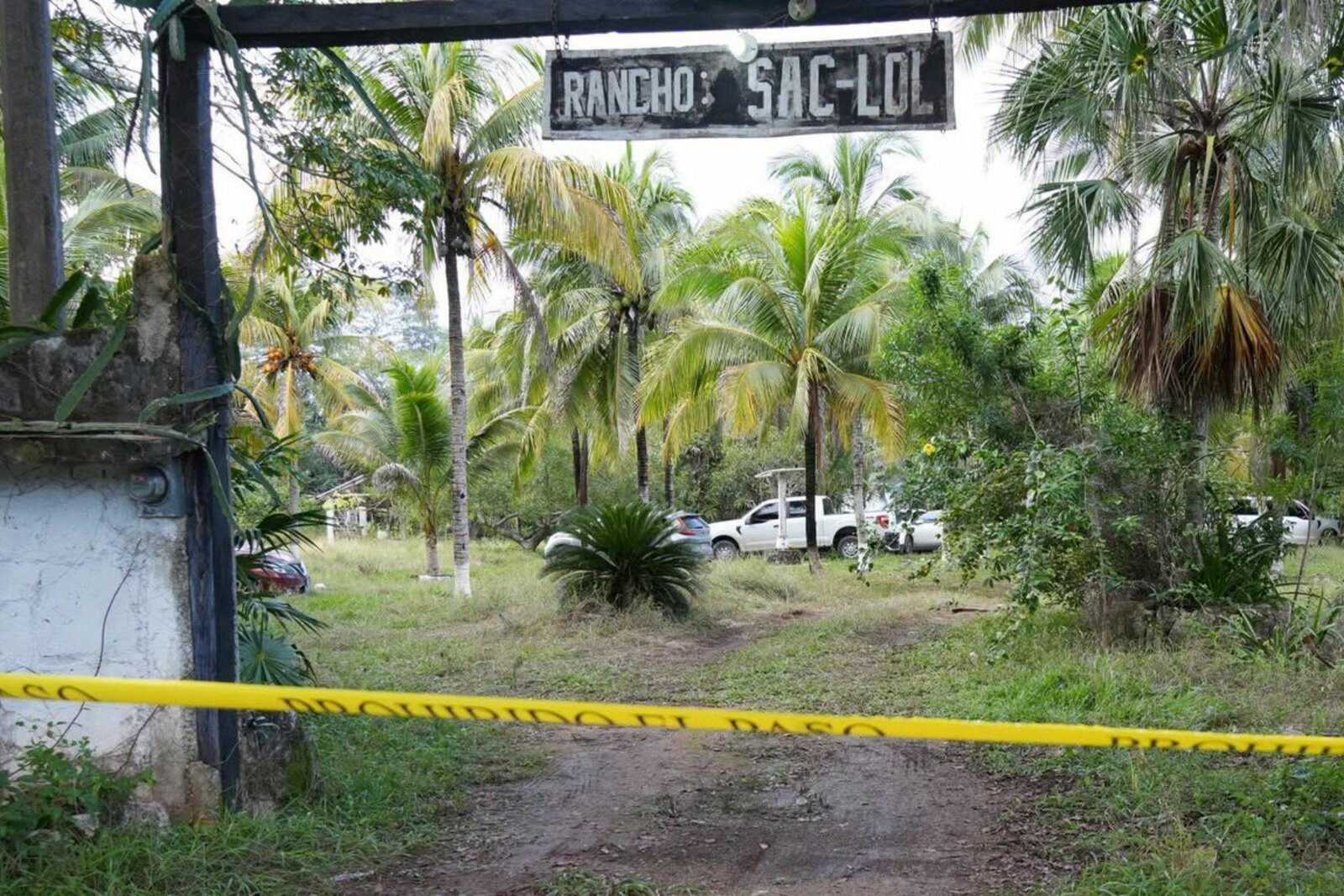 seguridad