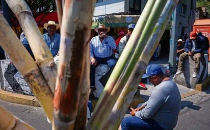 Cañeros levantan plantón tras acuerdos con Gobierno Federal