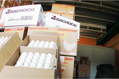 Bachoco exportará cerdo congelado a la República del Congo