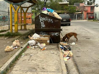 Aumenta recolección de basura tras el Buen Fin; Servicios Primarios refuerza operativos para diciembre