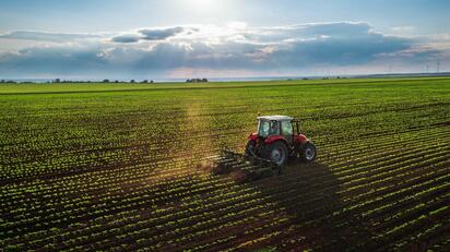 Legisladores de EU urgen a Trump proteger T-MEC agropecuario