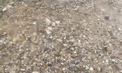 Fuerte desperdicio de agua frente al Hospital Chavarría