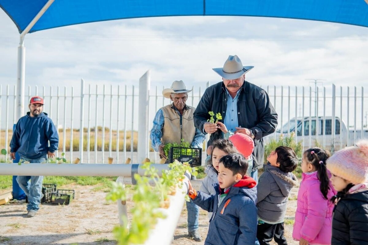 Primer huerto escolar