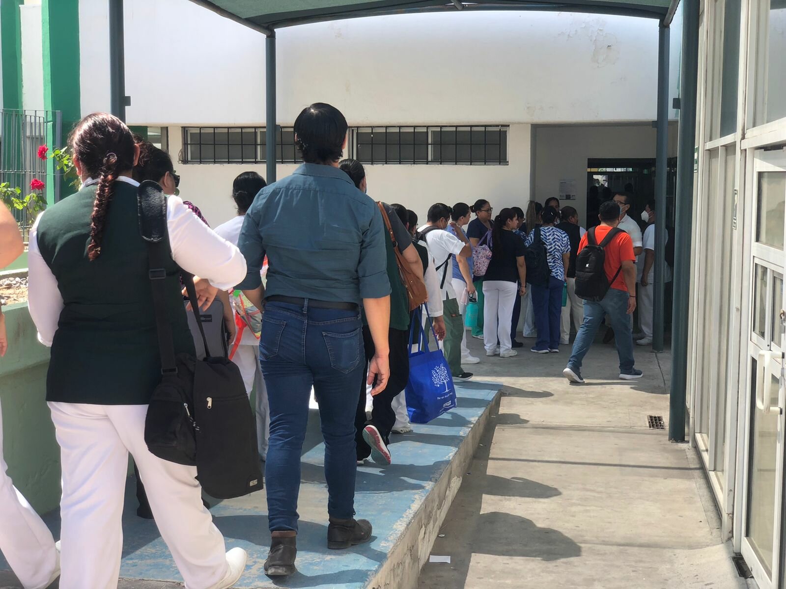 IMSS