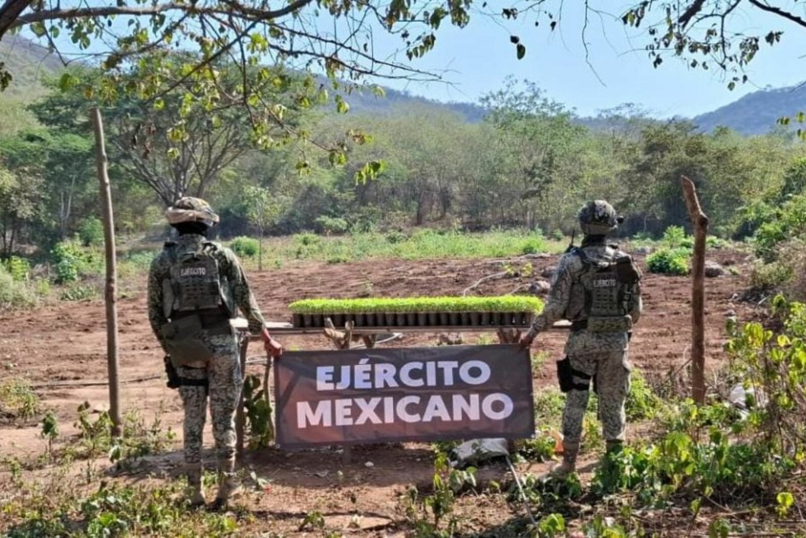 seguridad