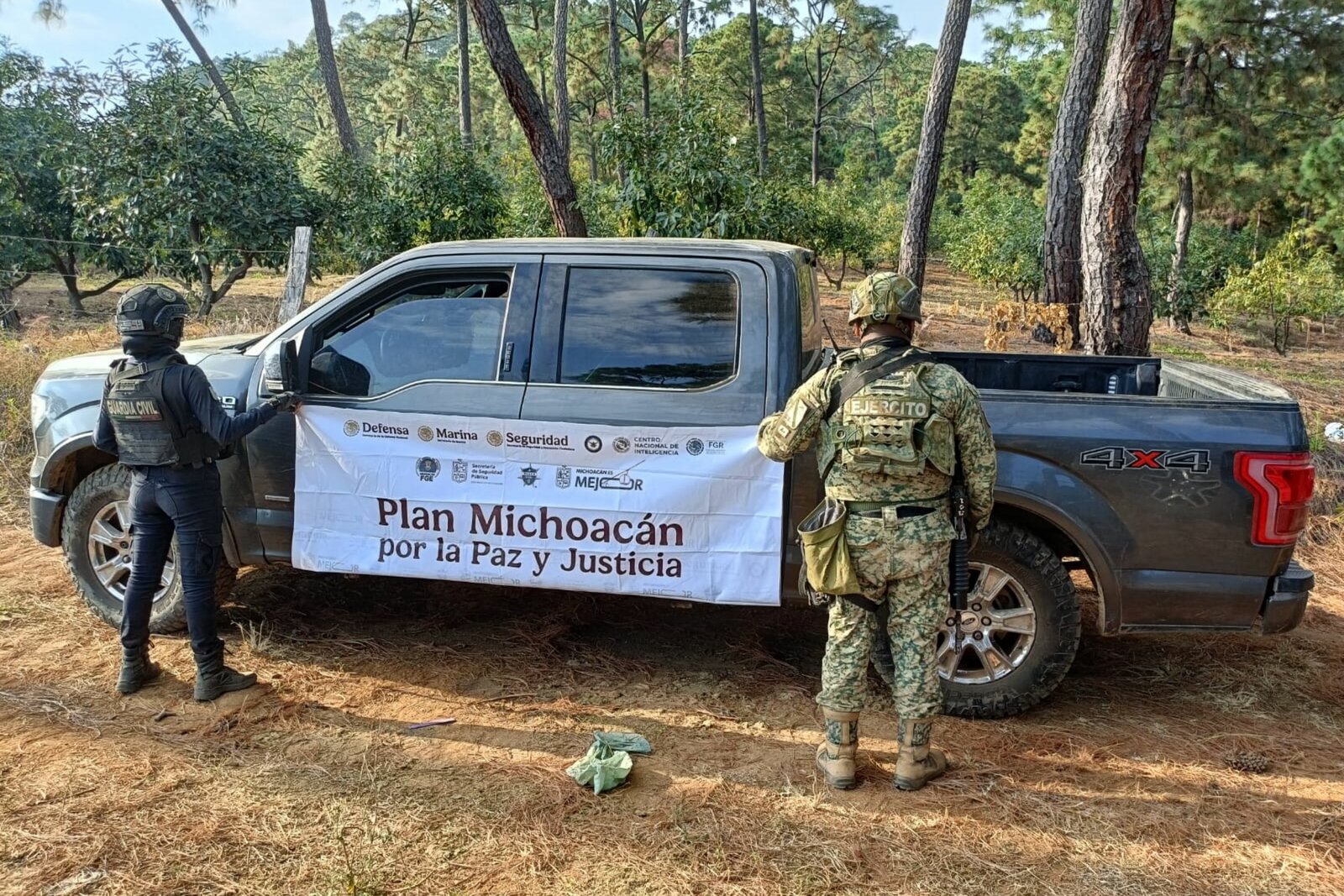 seguridad