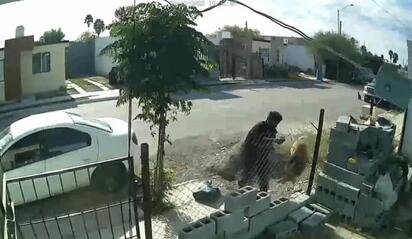 Pandillero agrede perro en Sabinas; denuncian crueldad animal grave