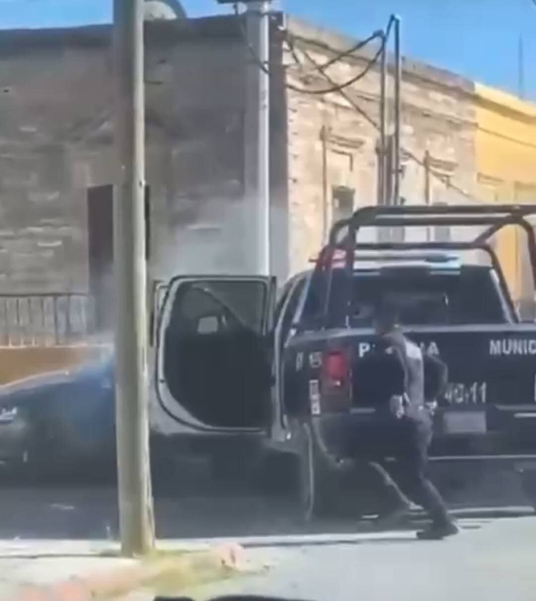 seg