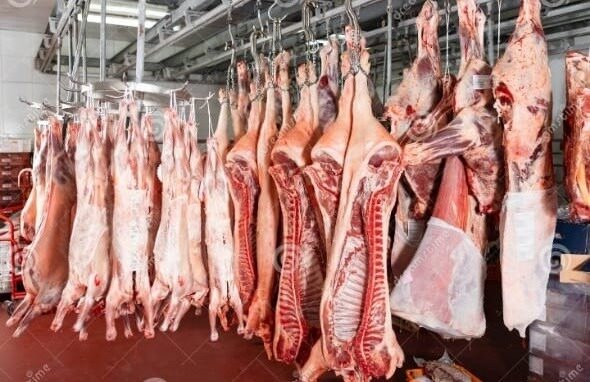 Venta de cabrito