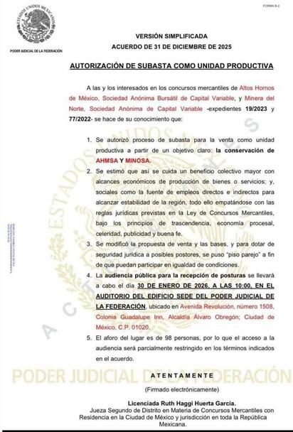Autorizan venta de AHMSA mediante subasta