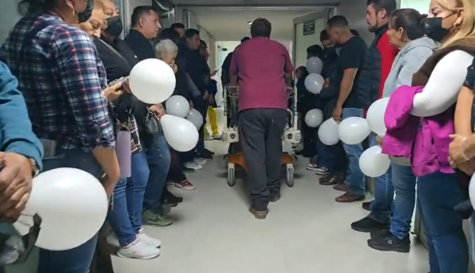 donación de órganos