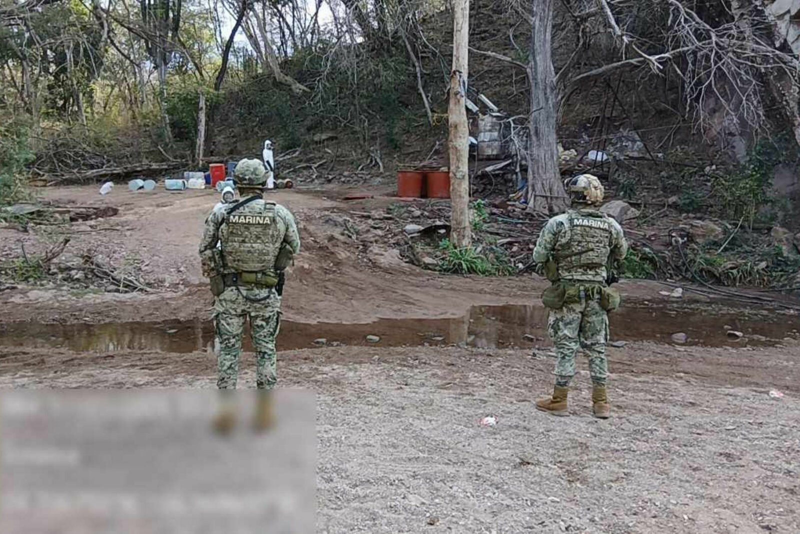 seguridad