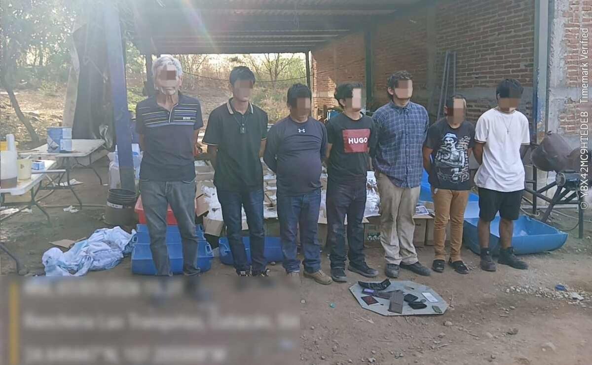 seguridad