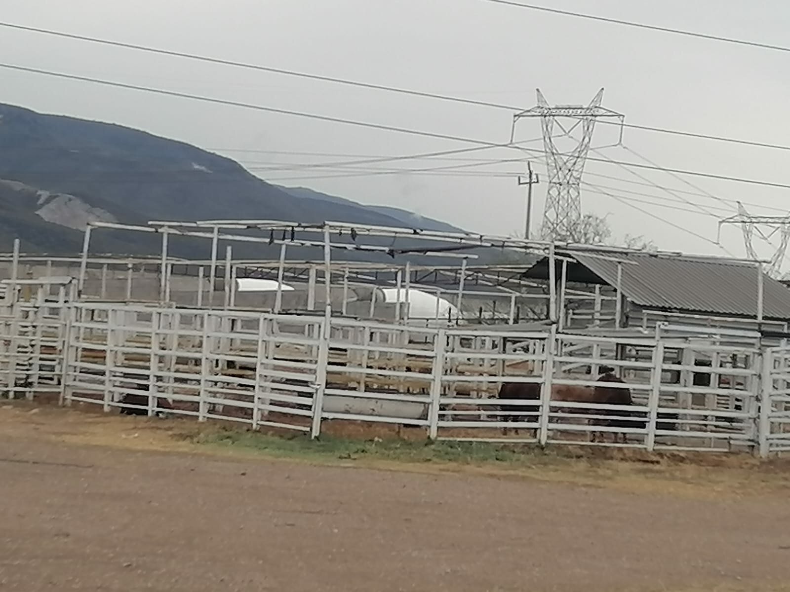 Ganaderos