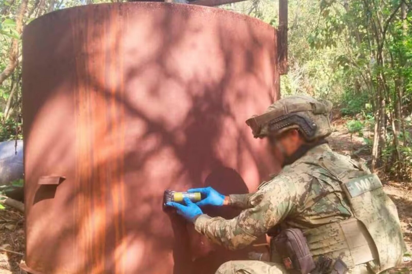 seguridad