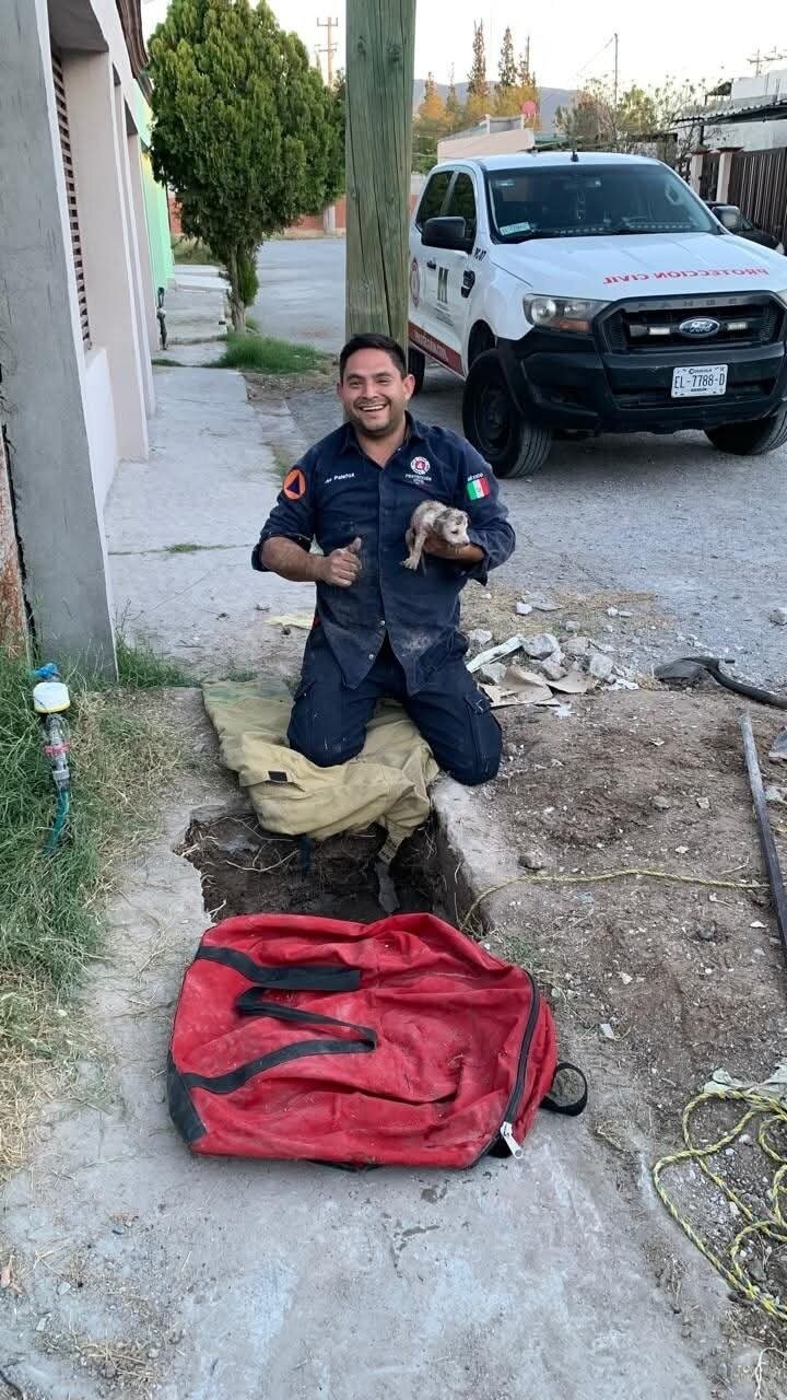 Seguridad