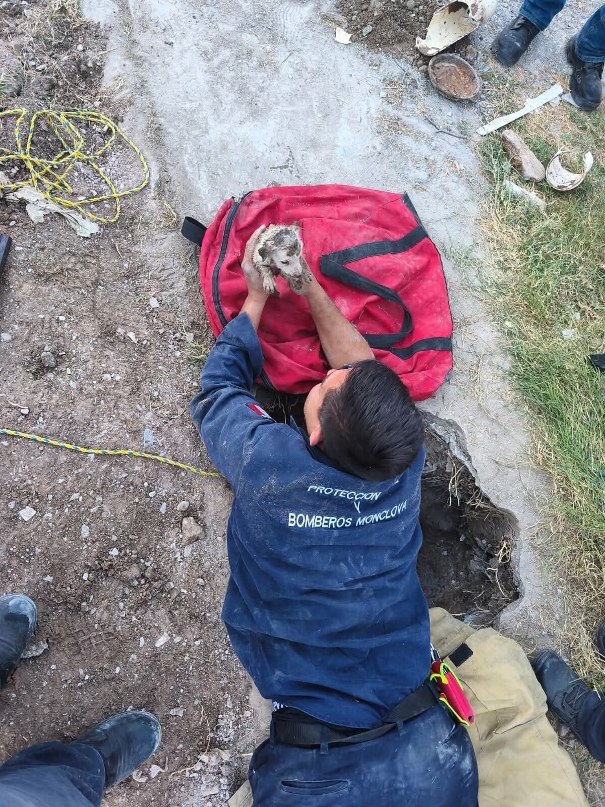 Seguridad