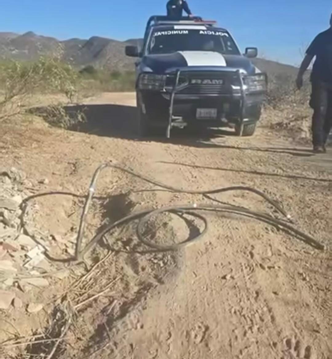 seguridad