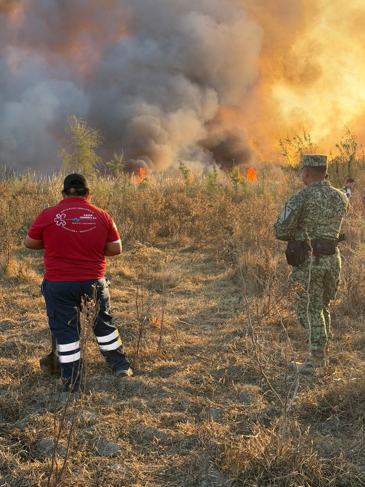 Seguridad