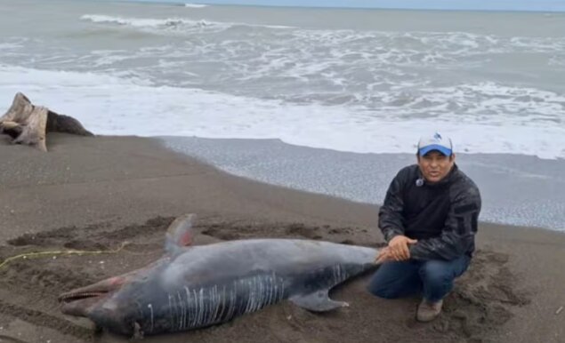 Veracruz