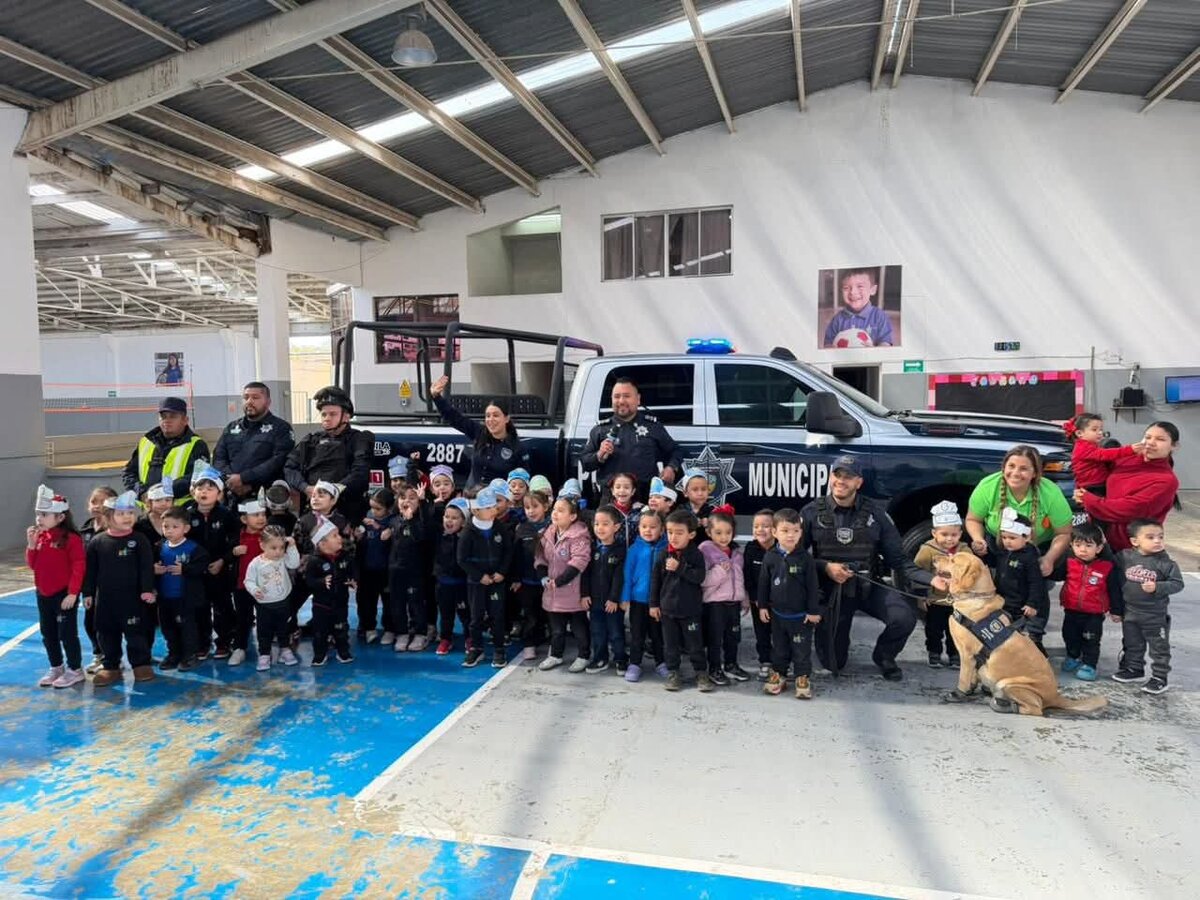 seguridad 