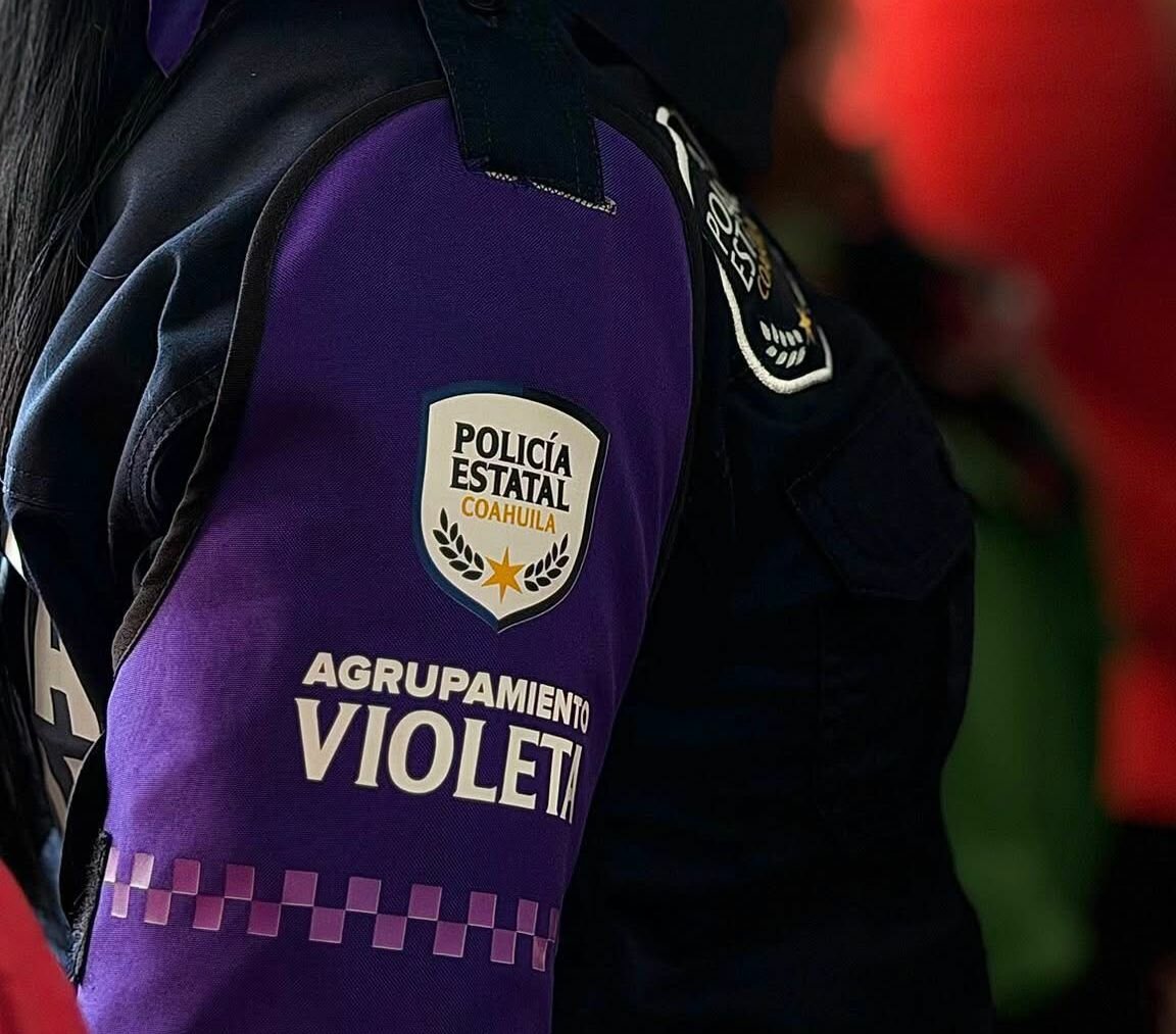 Seguridad Pública