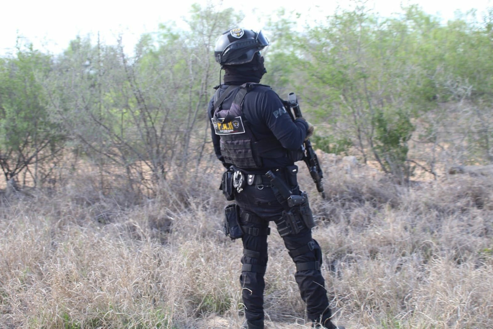seguridad