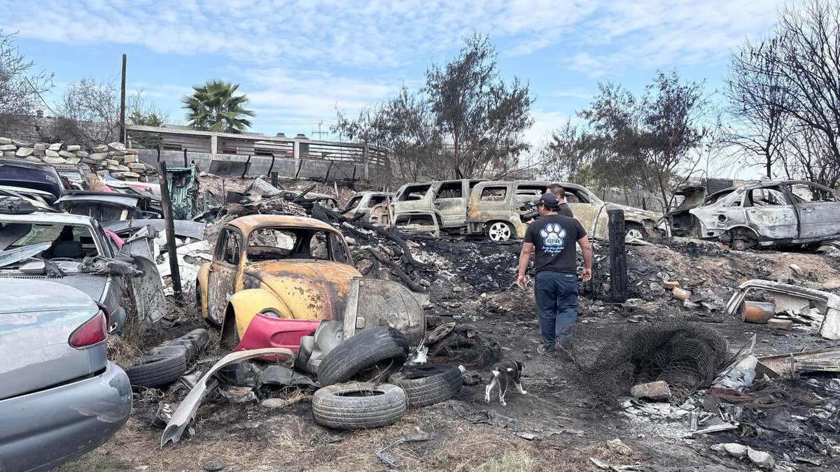 Incendio 