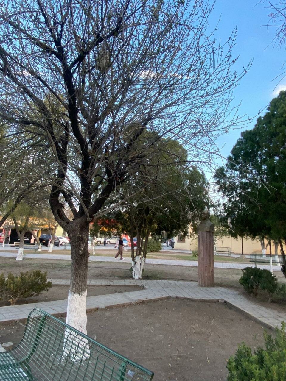 primaria 