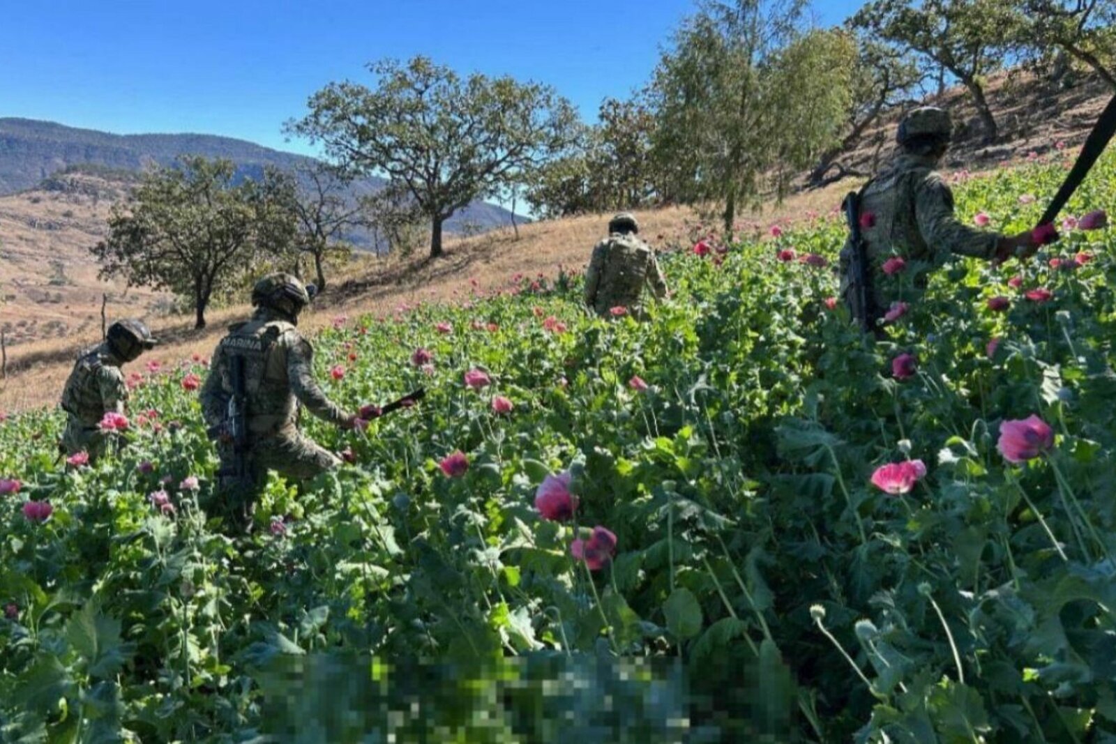 seguridad