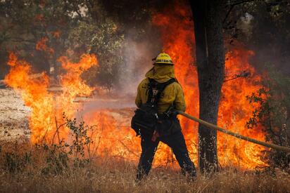 Incendio forestal en Florida alcanza zona crítica de Everglades