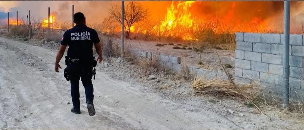 Seguridad