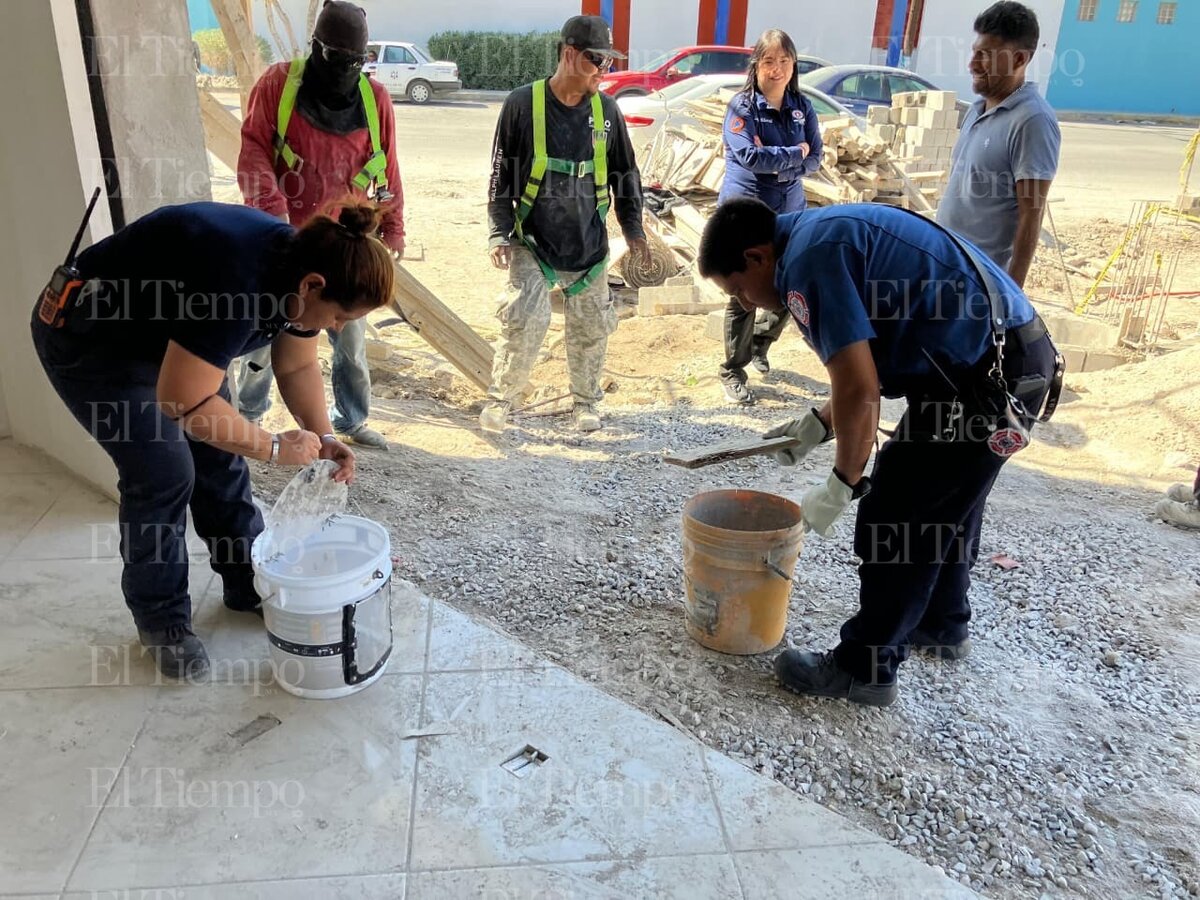 Seguridad