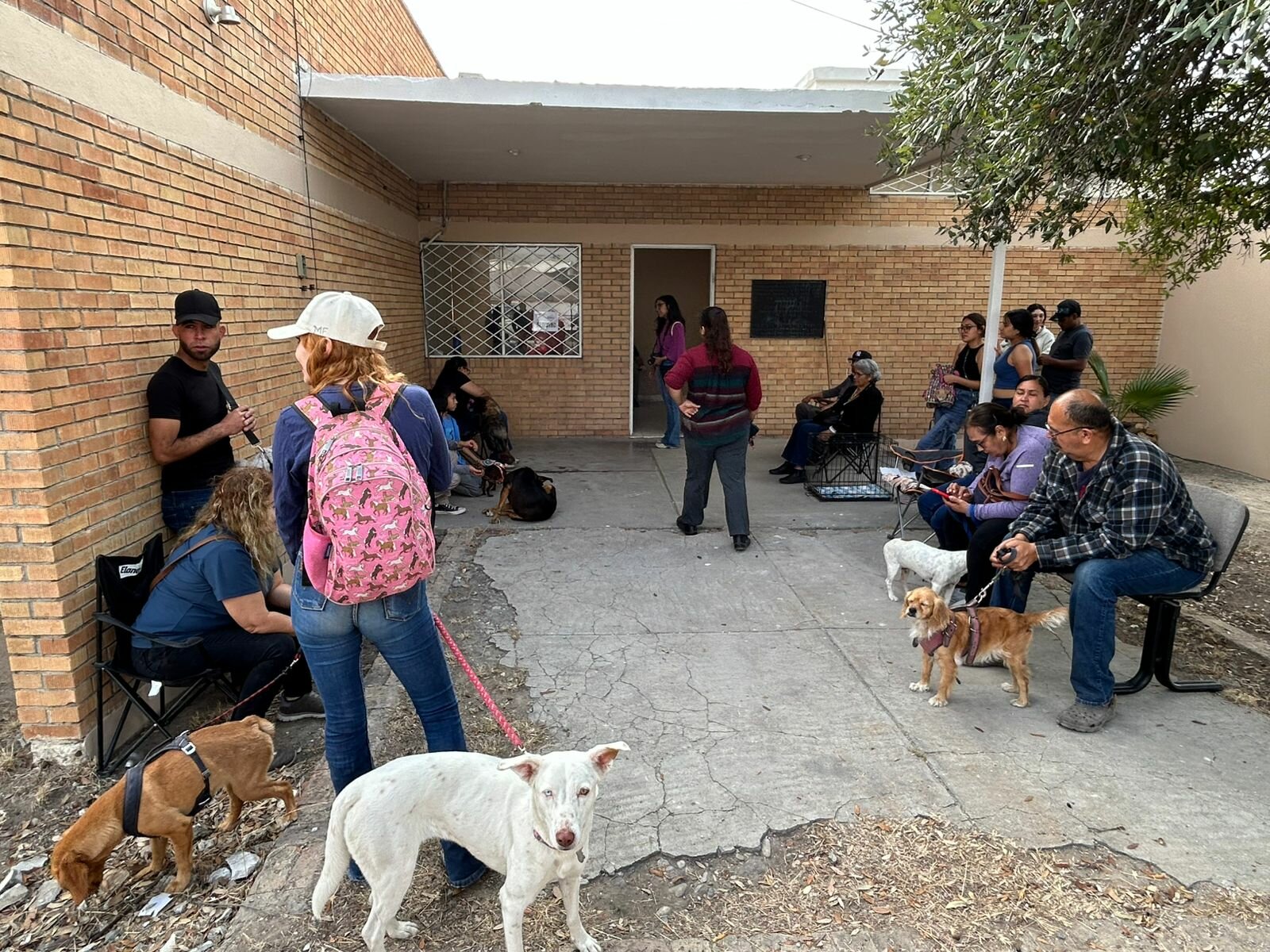 Esterilización