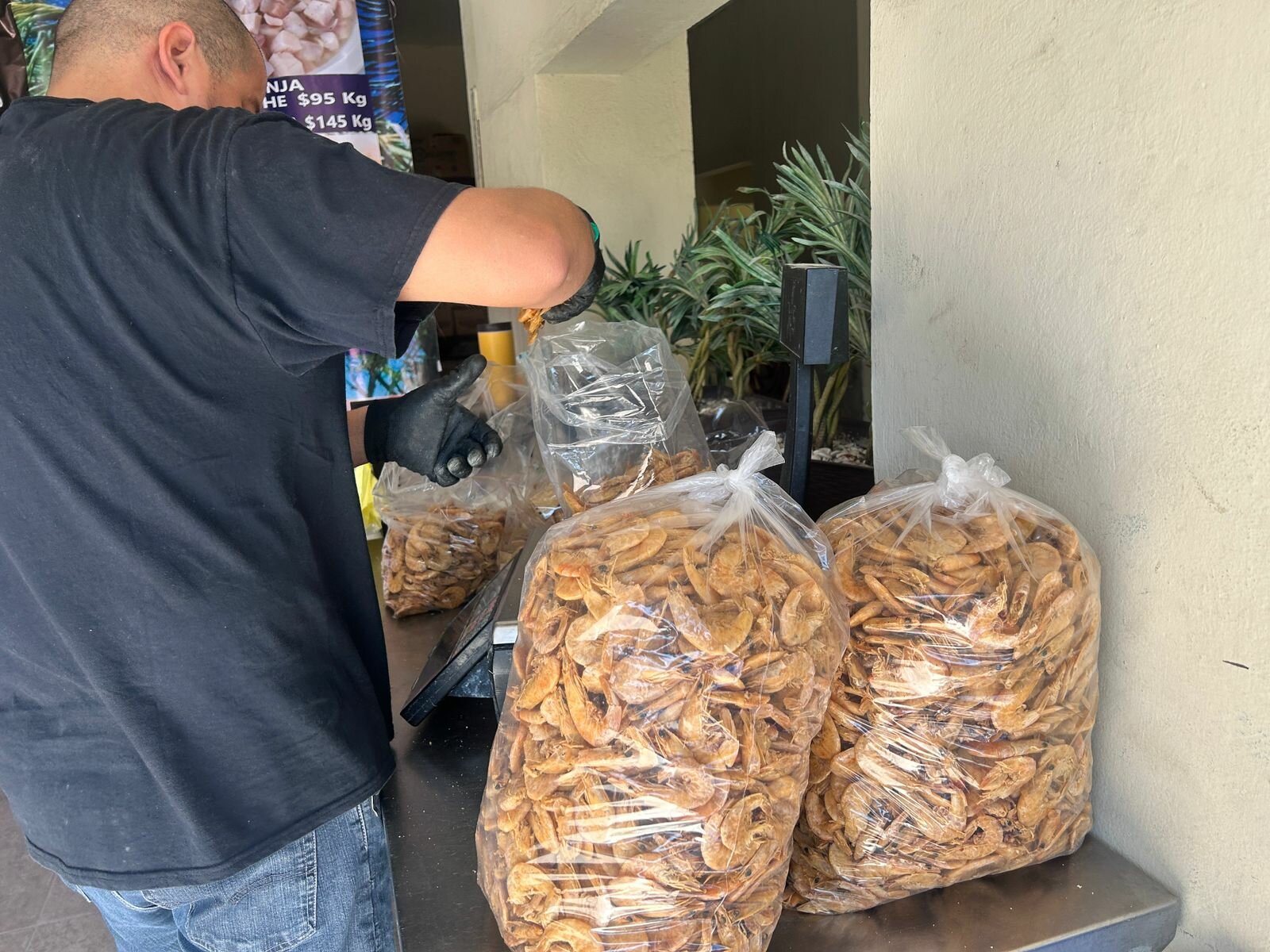mariscos  