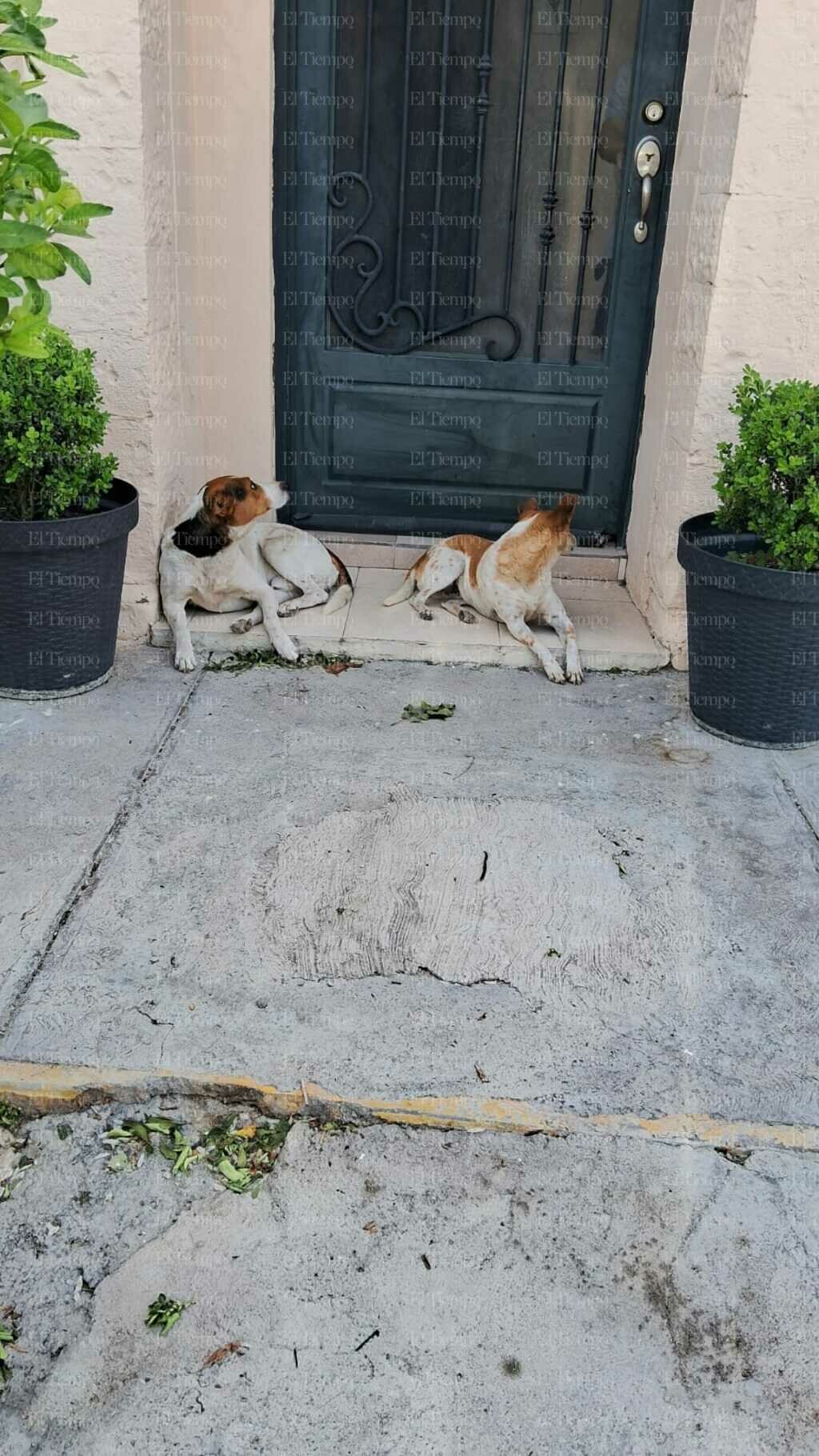 seguridad