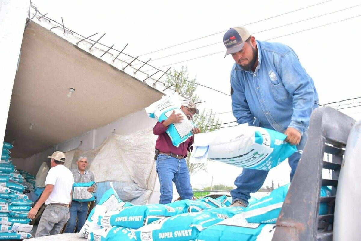 Productores de ejidos de Nava reciben semilla