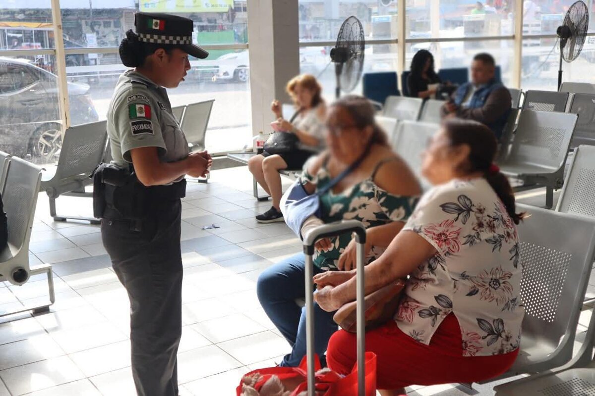  vigilancia