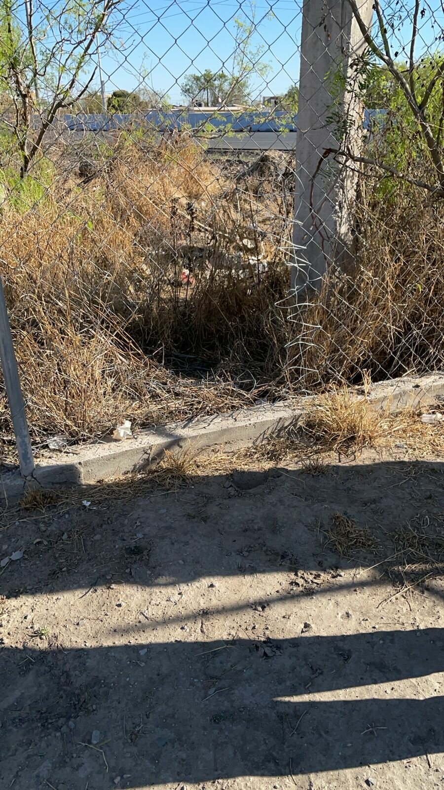 Seguridad