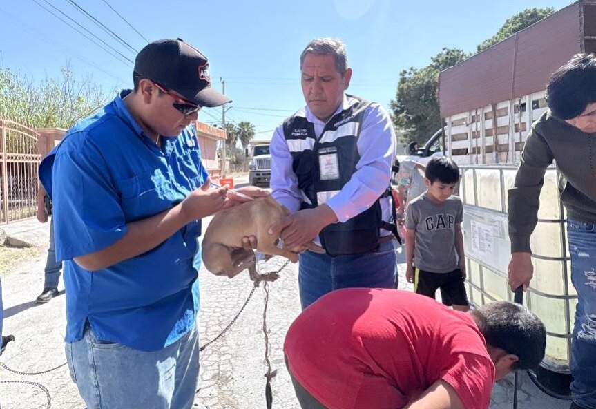 campaña preventiva