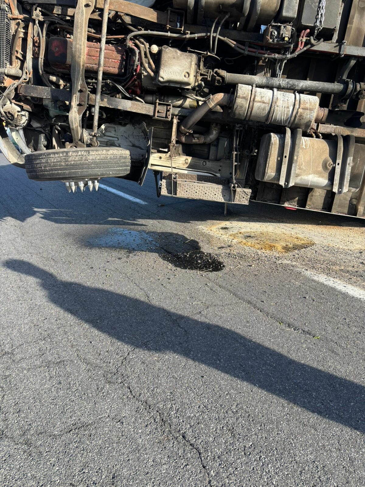 Seguridad