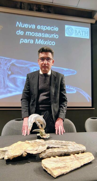 Identifican nueva especie de reptil marino en el MUDE