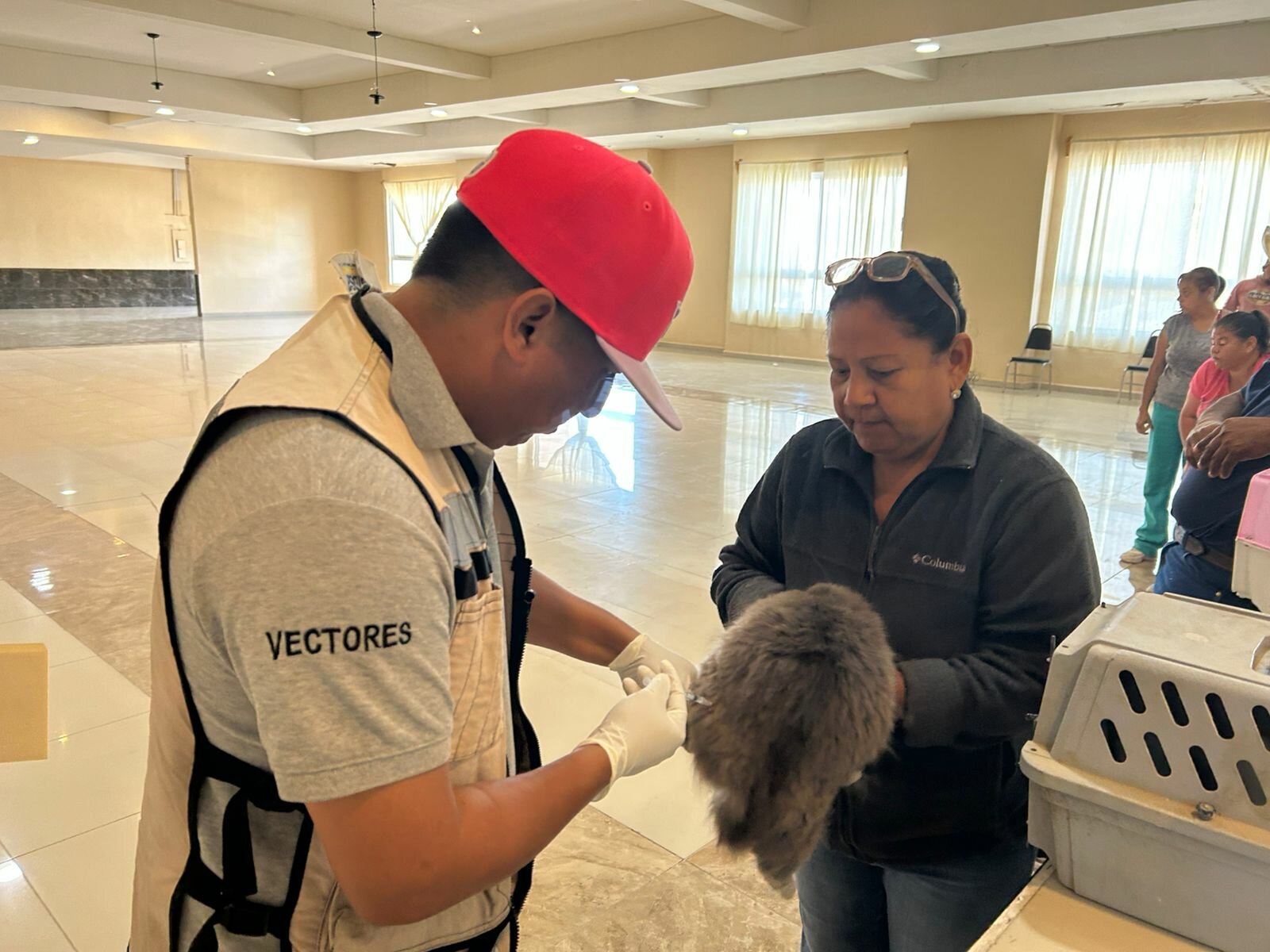 Esterilización