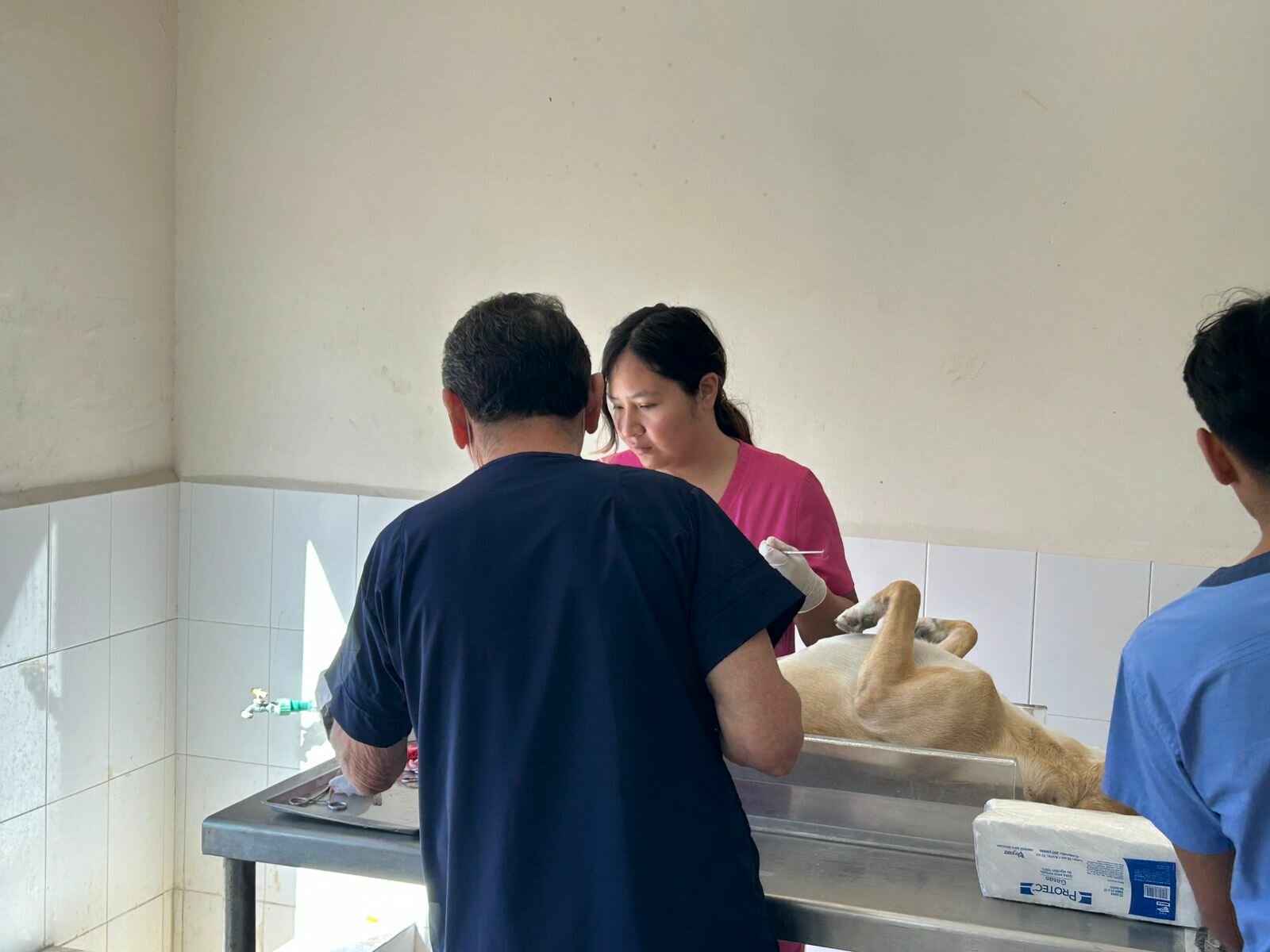 Esterilización