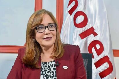 Polevnsky y Yunes Márquez piden licencia previo a votación del Plan B en Senado