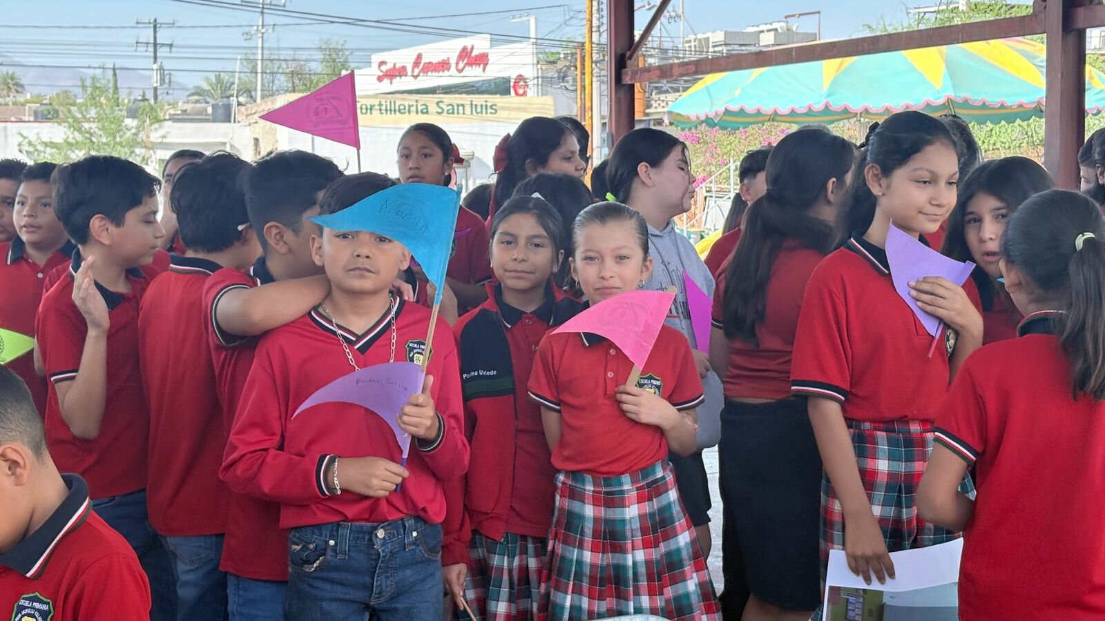 primaria 