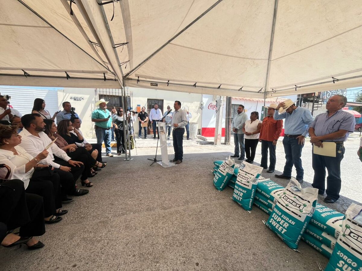 sorgo forrajero