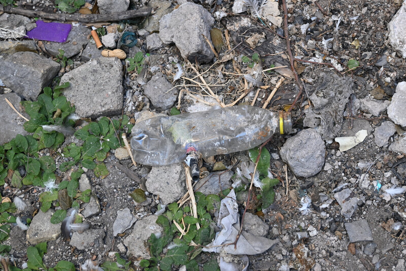 vida cotidiana, seguridad, prevención: Basura, llantas y espacios abandonados se convierten en focos de peligro durante la temporada de altas temperaturas