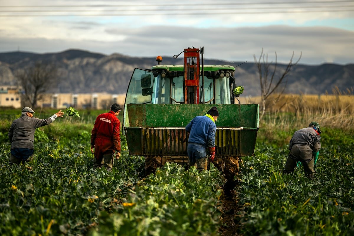 Guerra en Irán eleva hasta 29% el precio de fertilizantes: alerta GCMA
