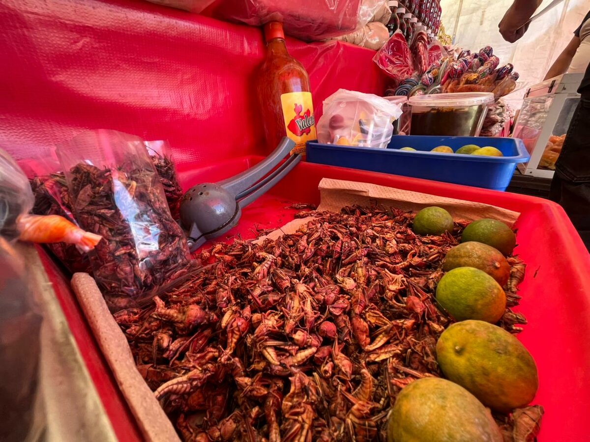 comerciantes